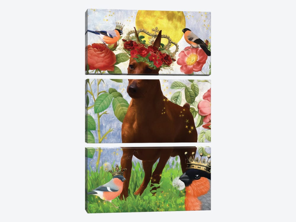 Crowned Miniature Pinscher And Bullfinch by Nobility Dogs 3-piece Canvas Artwork