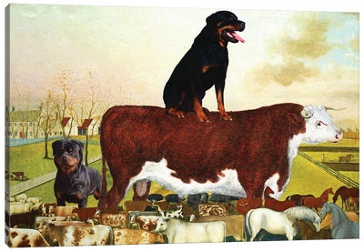 Rottweiler Edward Hicks The Cornell Farm Canvas Art Print - Bull Art