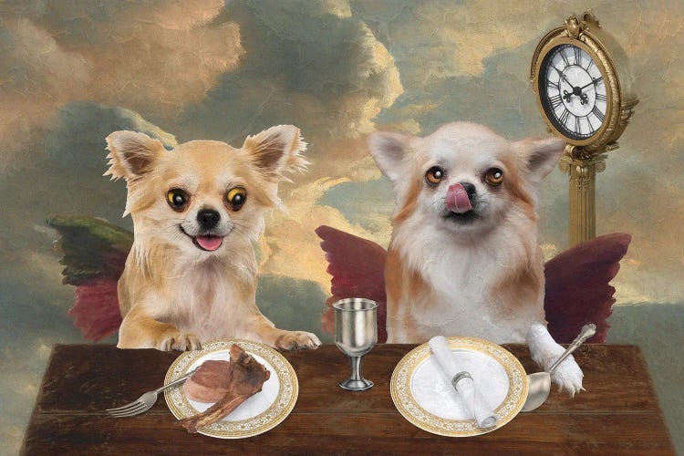 Chihuahua Cherub Lunch Time