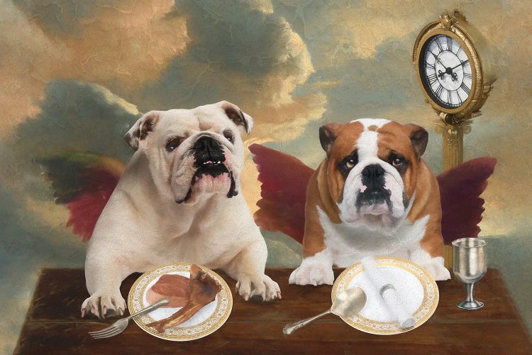 English Bulldog Cherub Lunch Time