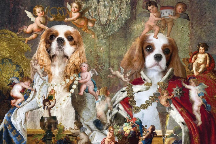 Cavalier King Charles Spaniel Coronation