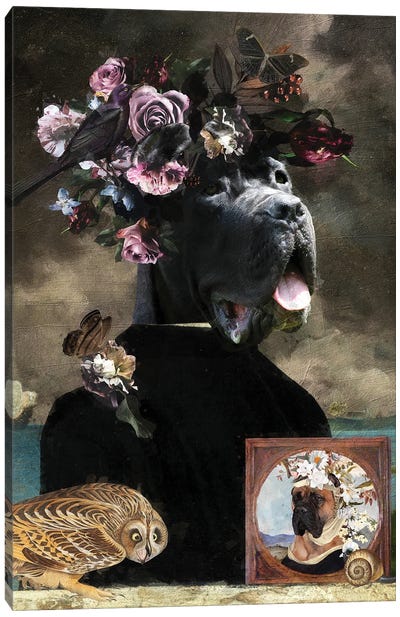Cane Corso Day And Night I Canvas Art Print