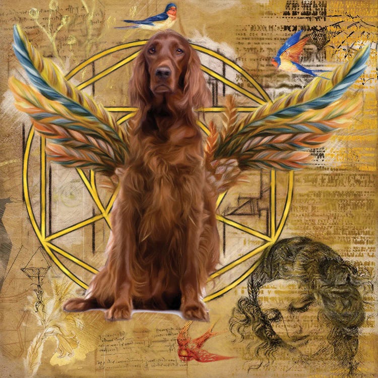 Irish Setter Angel Da Vinci