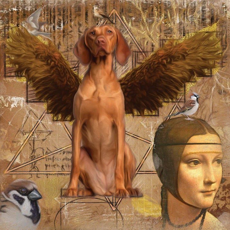 Vizsla Angel Da Vinci