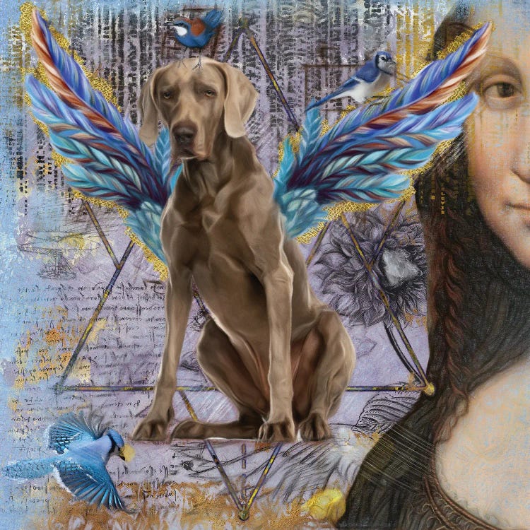 Weimaraner Angel Da Vinci