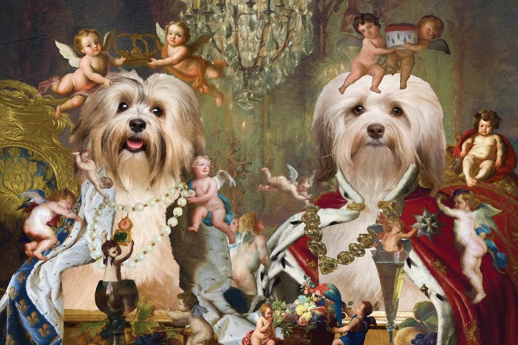 Havanese Coronation Of Emperors And Empresses