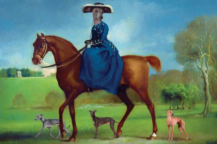 Italian Greyhound The Countess Of Coningsby