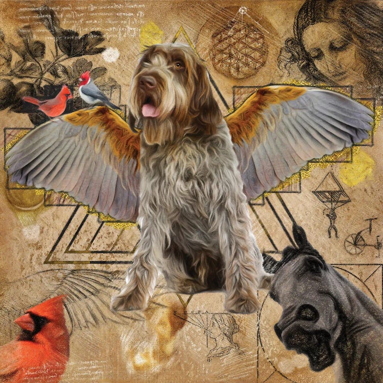 Wirehaired Pointing Griffon Angel Da Vinci