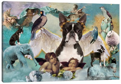 Boston Terrier All Dogs Go To Heaven Canvas Art Print - Boston Terrier Art