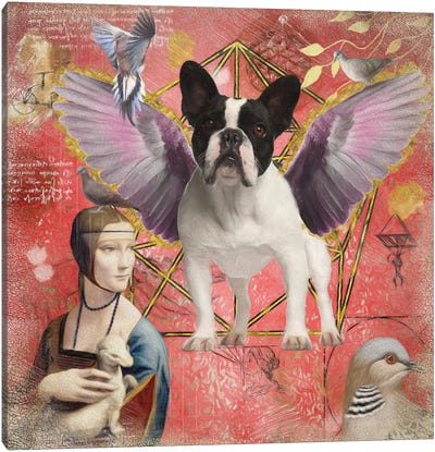 Pied French Bulldog Frenchie Angel Canvas Art Print - Lady with An Ermine Reimagined