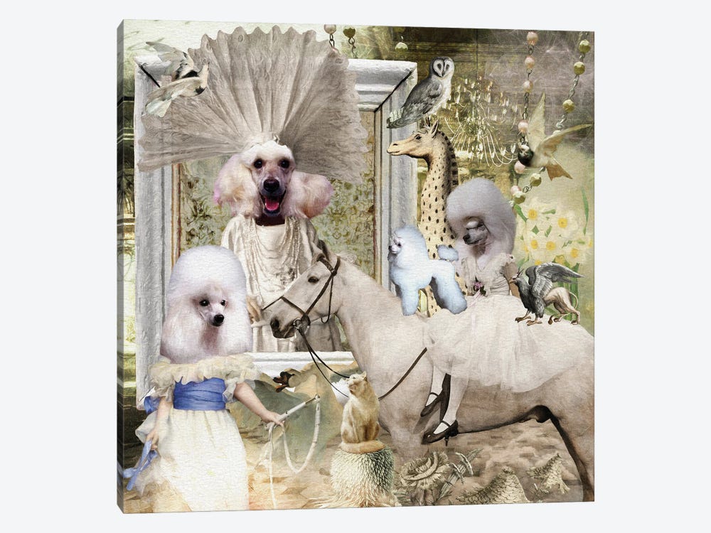 Poodle Powder Story by Nobility Dogs 1-piece Canvas Art Print