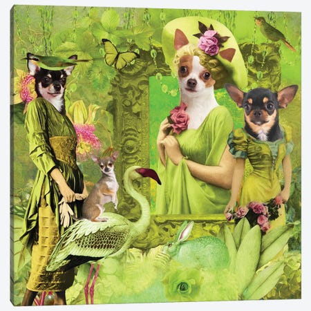 Chihuahua Green Lime Story Canvas Print #NDG2014} by Nobility Dogs Canvas Print