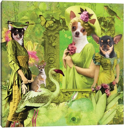 Chihuahua Green Lime Story Canvas Art Print - Nobility Dogs