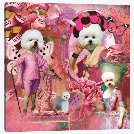 Bichon Frise Noble Pink Story Canvas Print #NDG2020} by Nobility Dogs Art Print