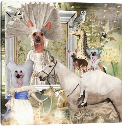 Chinese Crested Noble White Powder Story Canvas Art Print