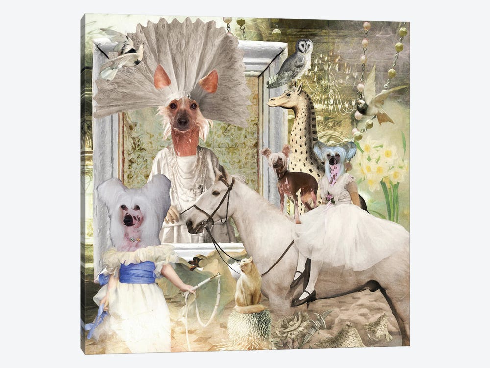 Chinese Crested Noble White Powder Story by Nobility Dogs 1-piece Canvas Print