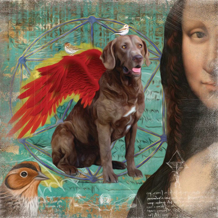 Chesapeake Bay Retriever Angel Da Vinci