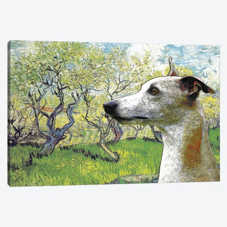 Whippet  Flowering Orchard Canvas Print #NDG2036} by Nobility Dogs Canvas Print