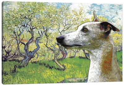 Whippet  Flowering Orchard Canvas Art Print - Nobility Dogs