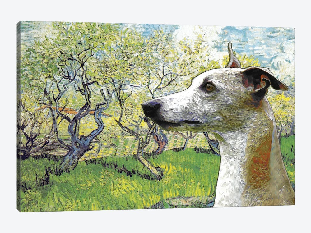 Whippet  Flowering Orchard by Nobility Dogs 1-piece Canvas Artwork