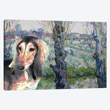 Saluki Orchard In Blossom Canvas Print #NDG2039} by Nobility Dogs Canvas Wall Art