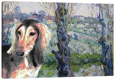 Saluki Orchard In Blossom Canvas Art Print