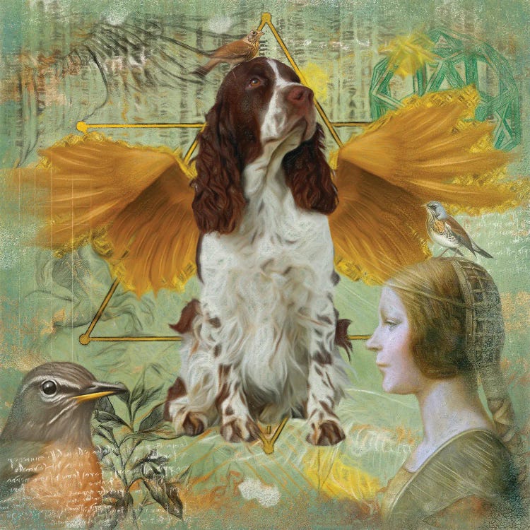 English Springer Spaniel Angel Da Vinci