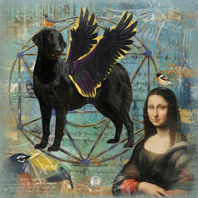 Flat-Coated Retriever Angel Da Vinci