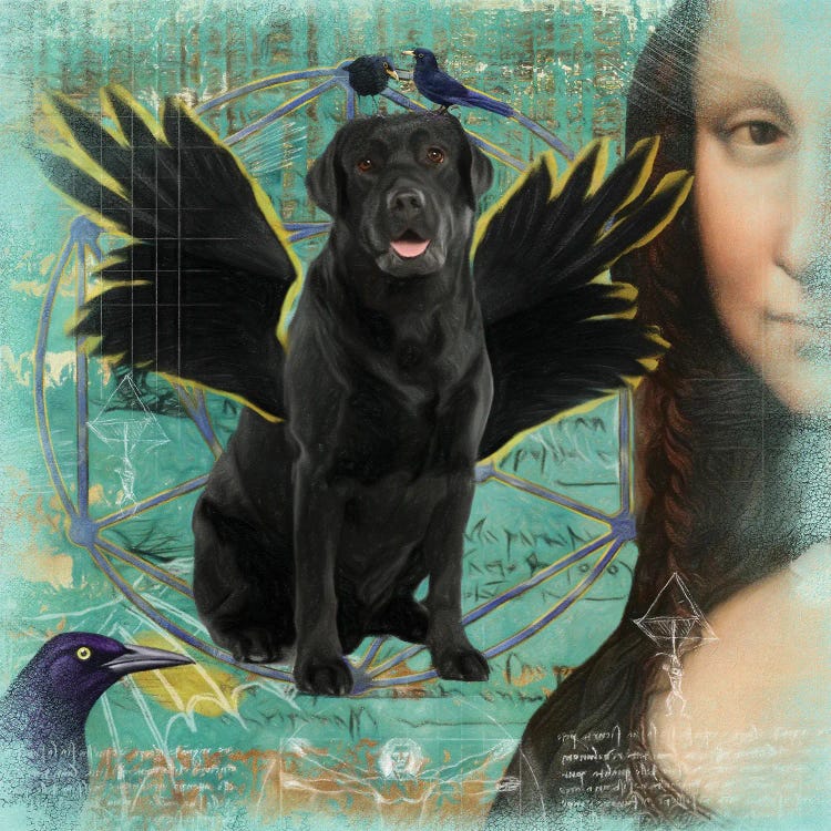 Black Labrador Retriever Angel Da Vinci