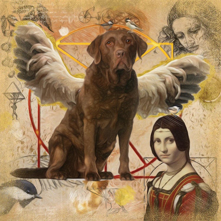 Chocolate Labrador Retriever Angel Da Vinci