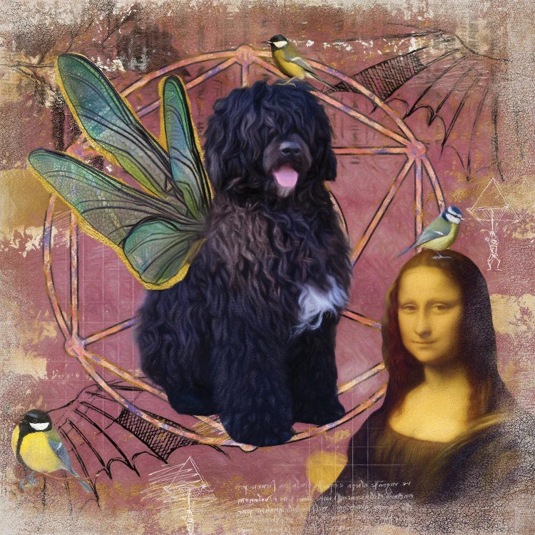 Portuguese Water Dog Angel Da Vinci