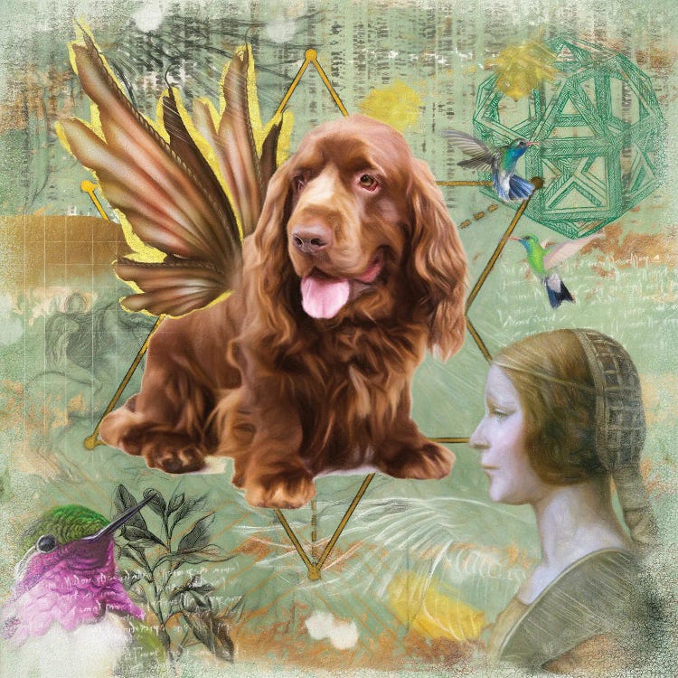 Sussex Spaniel Angel Da Vinci