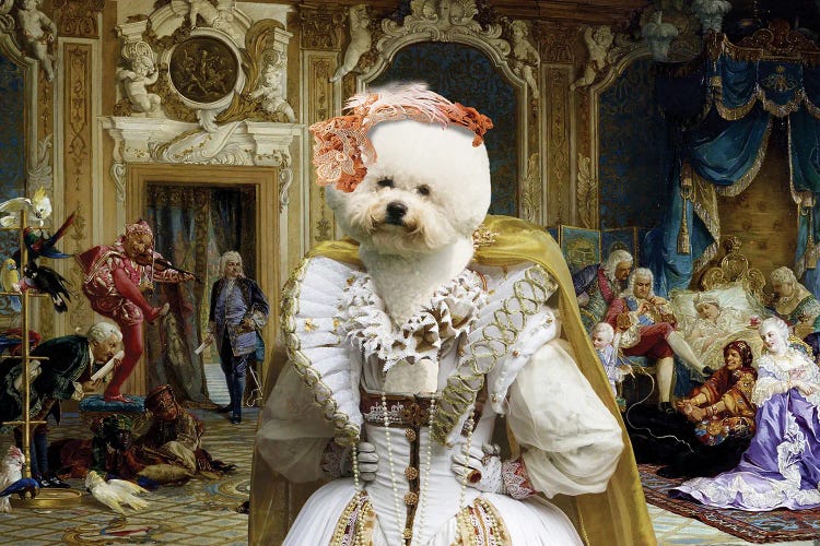 Bichon Frise Jesters Of Empress