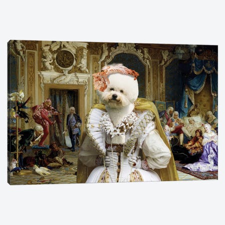 Bichon Frise Jesters Of Empress Canvas Print #NDG2137} by Nobility Dogs Canvas Wall Art