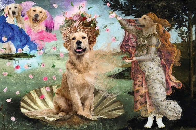 Golden Retriever The Birth Of Venus