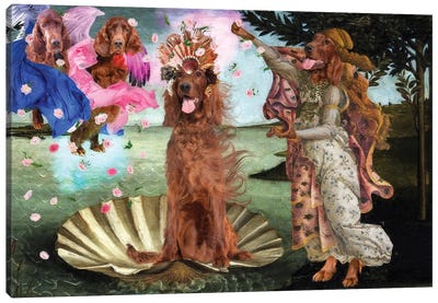 Irish Setter The Birth Of Venus Canvas Art Print - Nobility Dogs