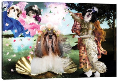 Shih Tzu The Birth Of Venus Canvas Art Print - Nobility Dogs