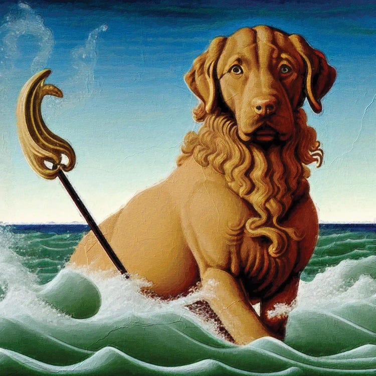 Chesapeake Bay Retriever Poseidon On A Rolling Sea