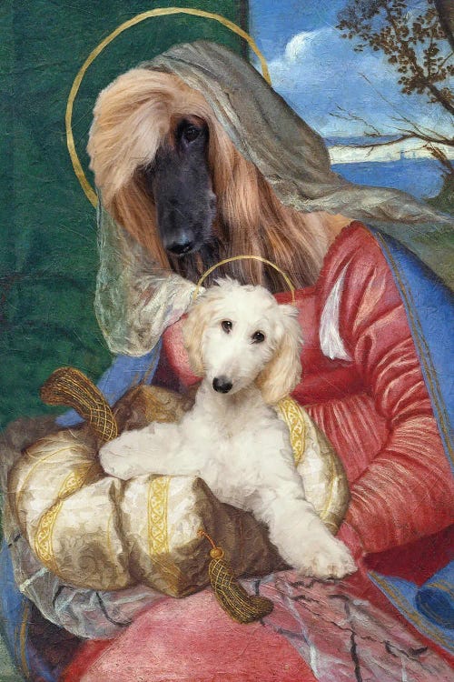 Afghan Hound Madonna And Puppy