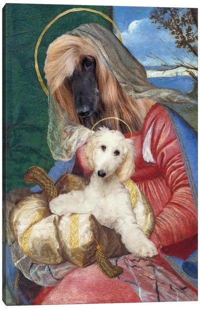 Afghan Hound Madonna And Puppy Canvas Art Print