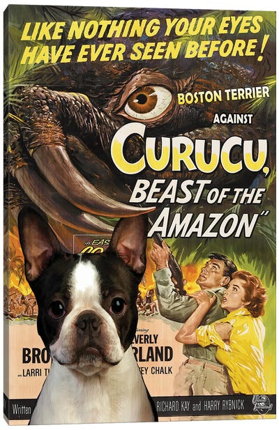 Boston Terrier Curucu Movie Canvas Art Print - Boston Terrier Art
