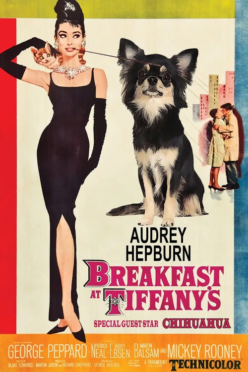 Chihuahua Breakfast At Tiffany Movie