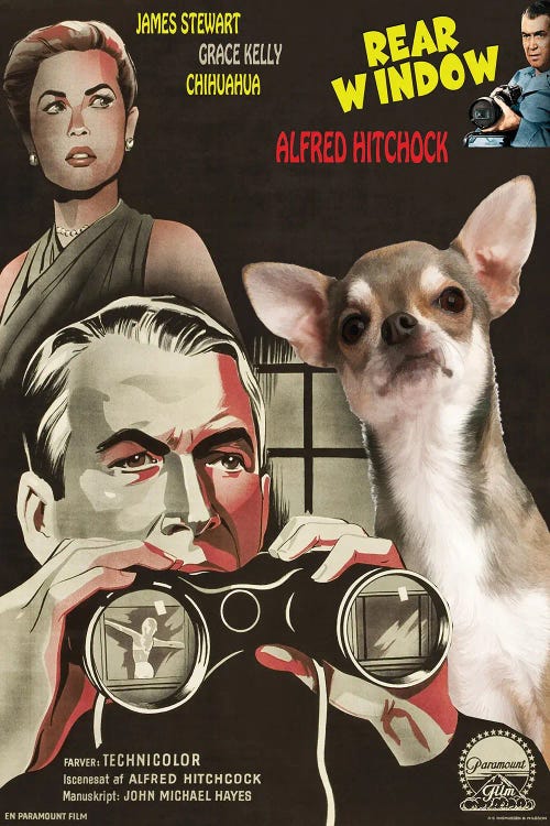 Chihuahua Rear Window Movie