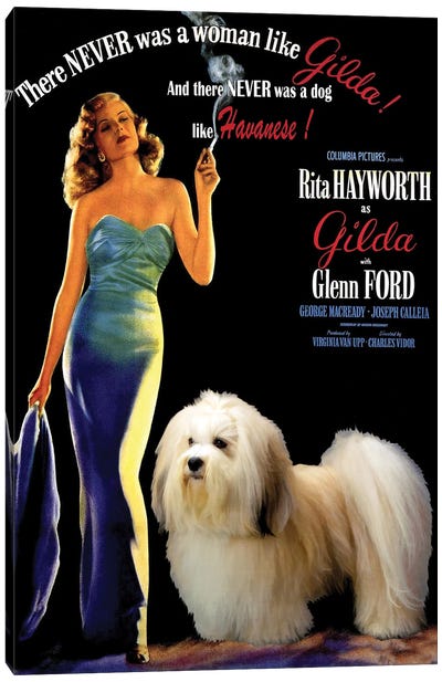 Havanese Dog Gilda Movie Canvas Art Print