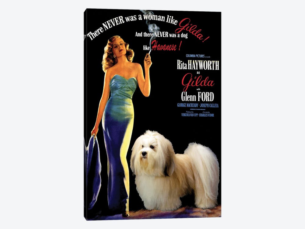Havanese Dog Gilda Movie by Nobility Dogs 1-piece Canvas Wall Art