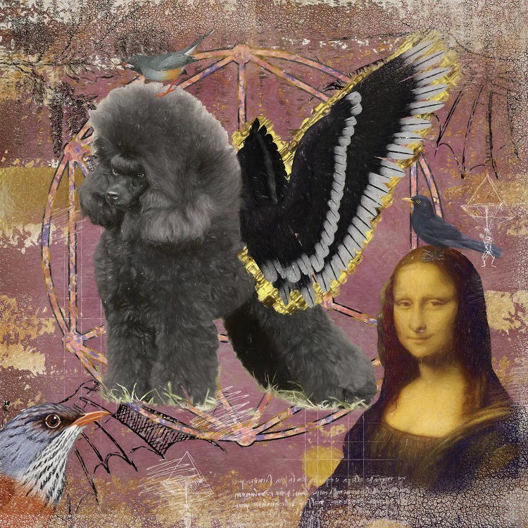 Black Poodle Angel Da Vinci