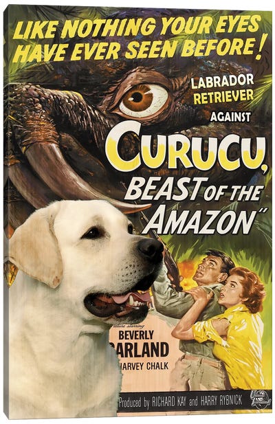 Labrador Retriever Curucu Movie Canvas Art Print - Vintage Movie Posters