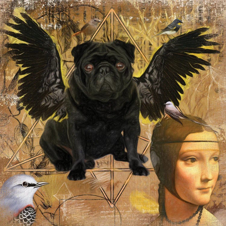 Black Pug Angel Da Vinci