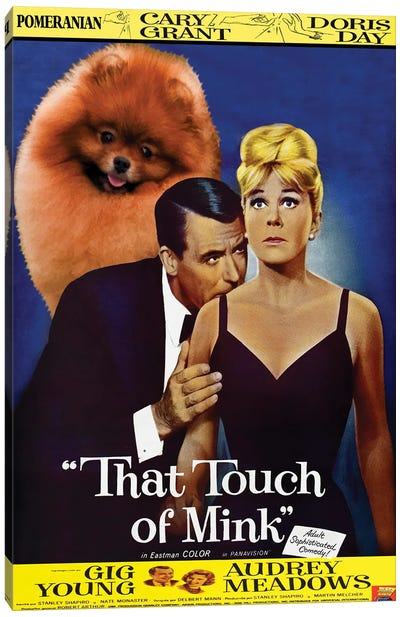 Pomeranian That Touch Of Mink Canvas Art Print - Romance Movie Art