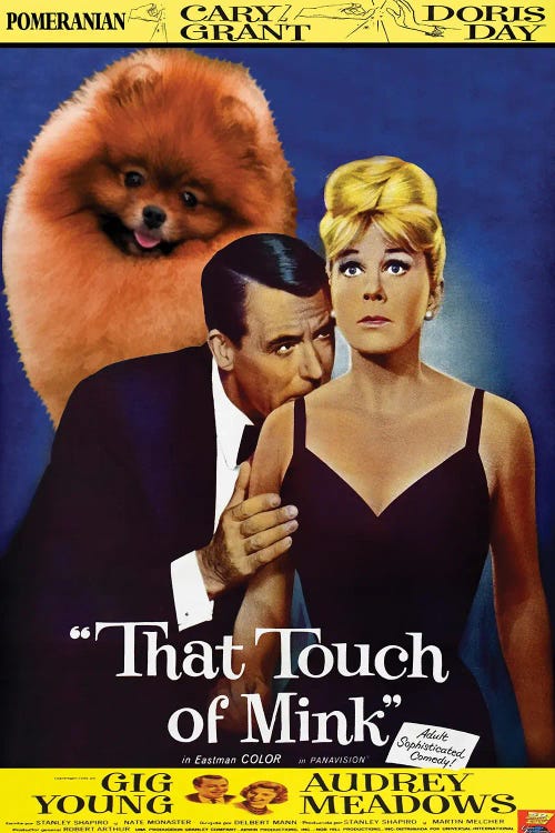 Pomeranian That Touch Of Mink